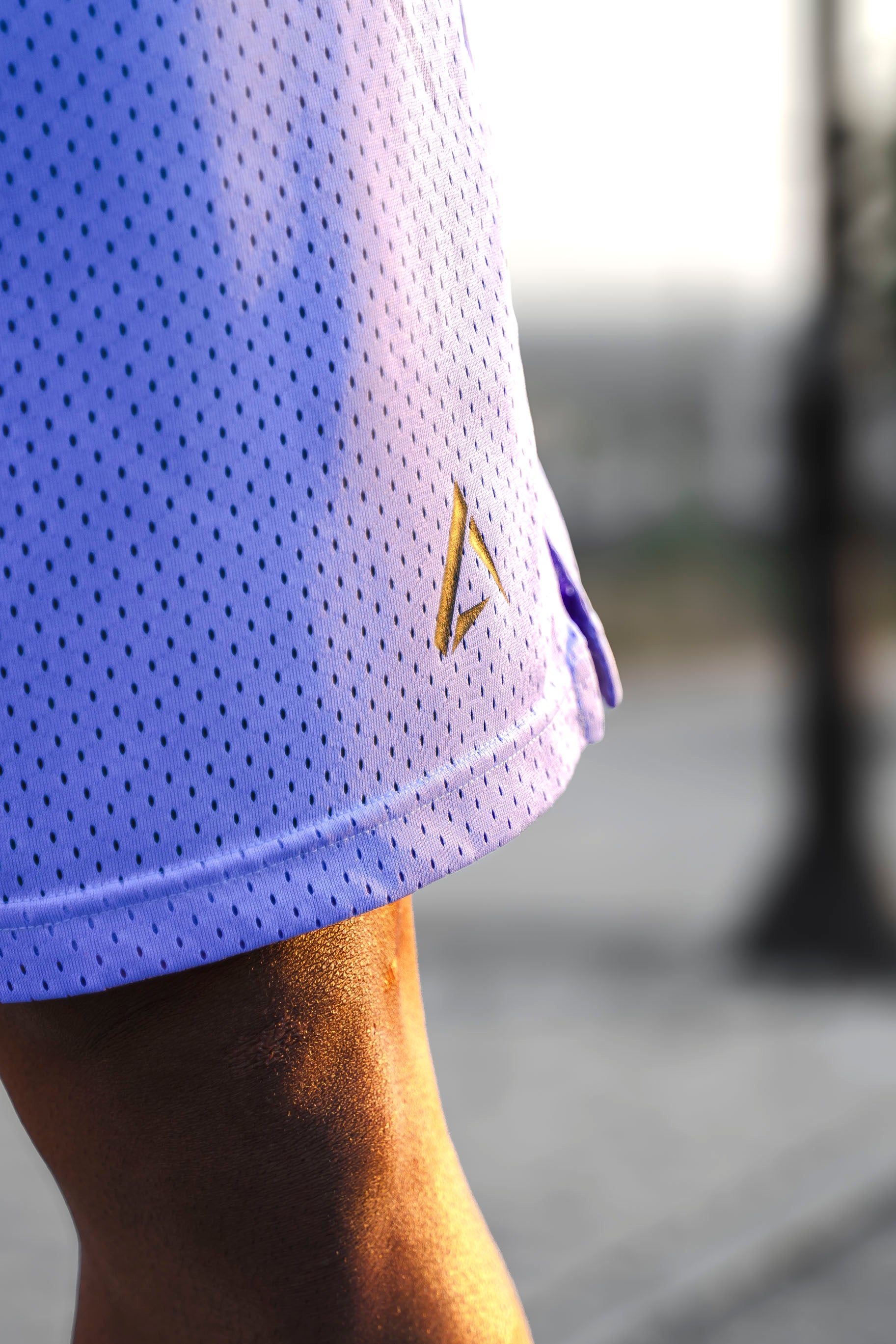 Wolf Reversible 2in1 shorts - Green/Purple