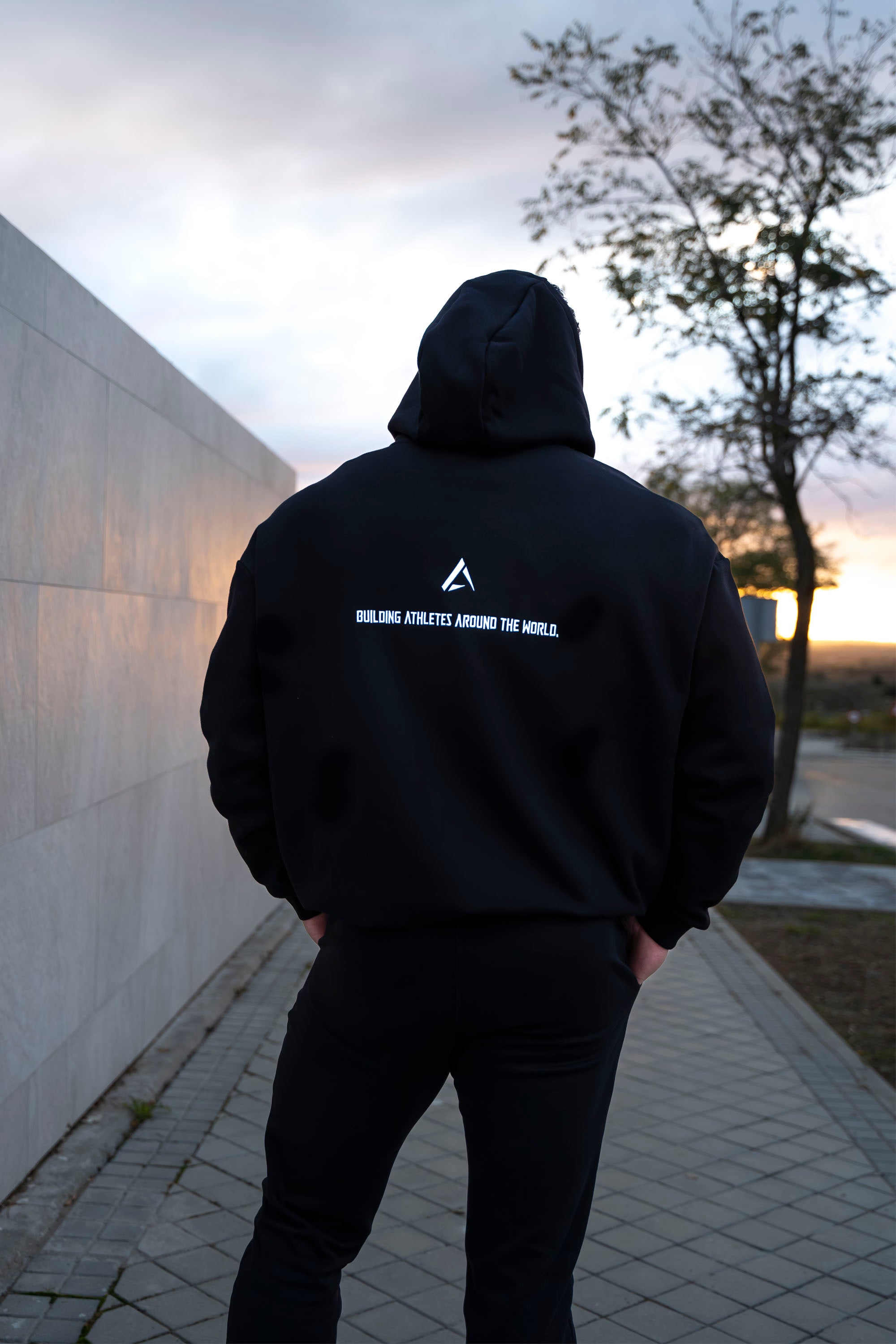 Alpha Wolf PREMIUM hoodie - Extra Oversized