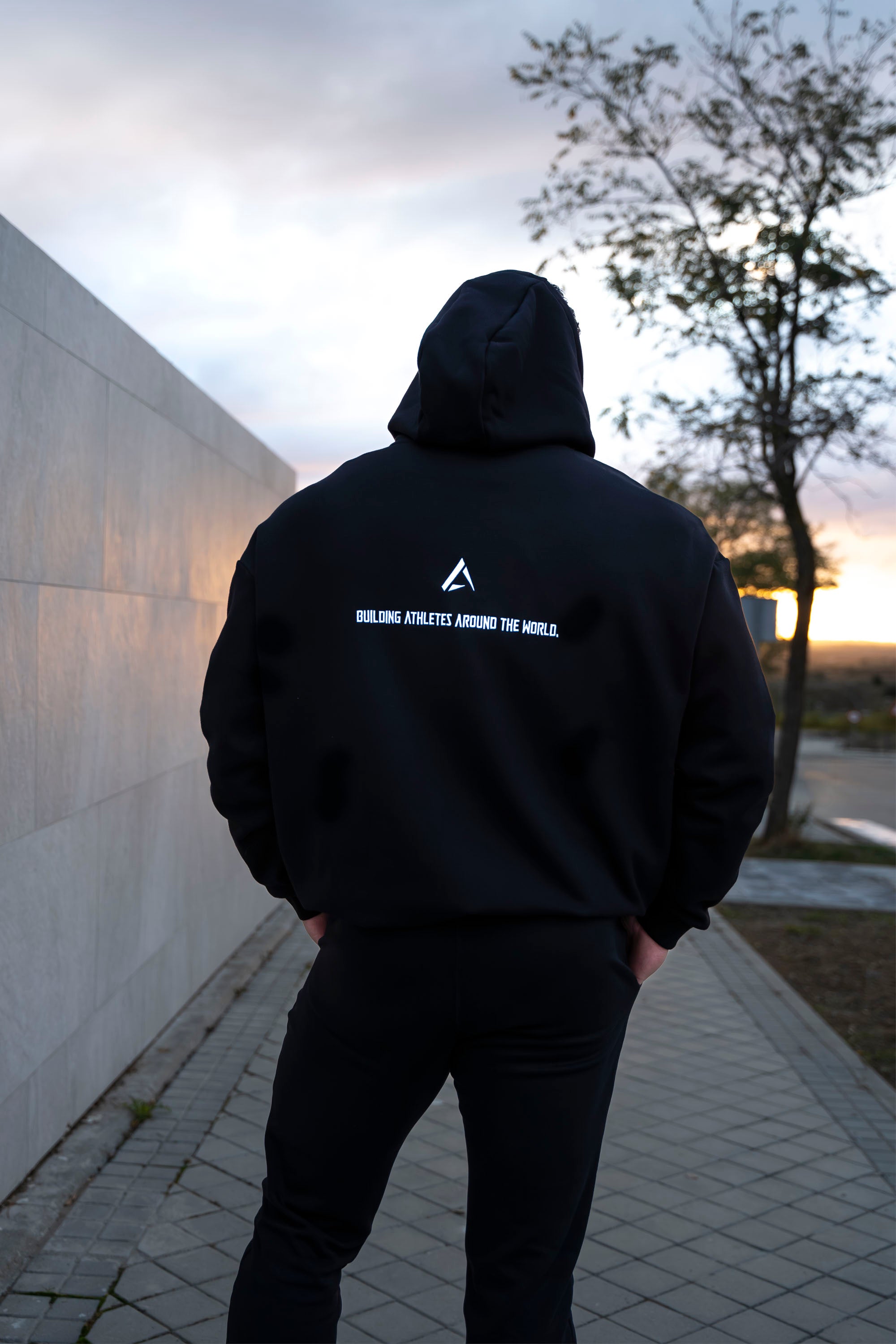 Alpha Wolf Premium hoodie - EXTRA Oversized