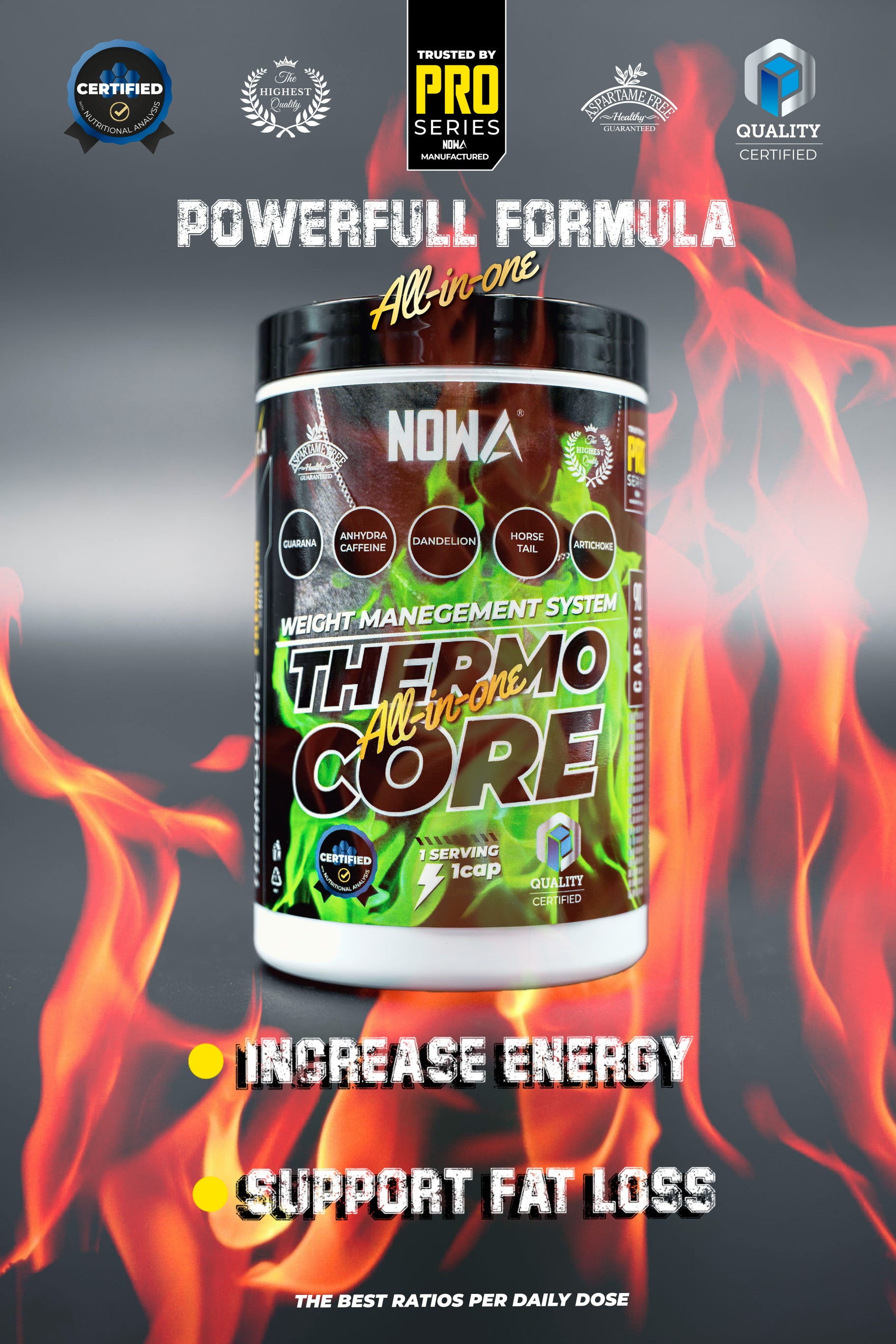 Thermogenic Pro ALL IN ONE - 90 Capsules