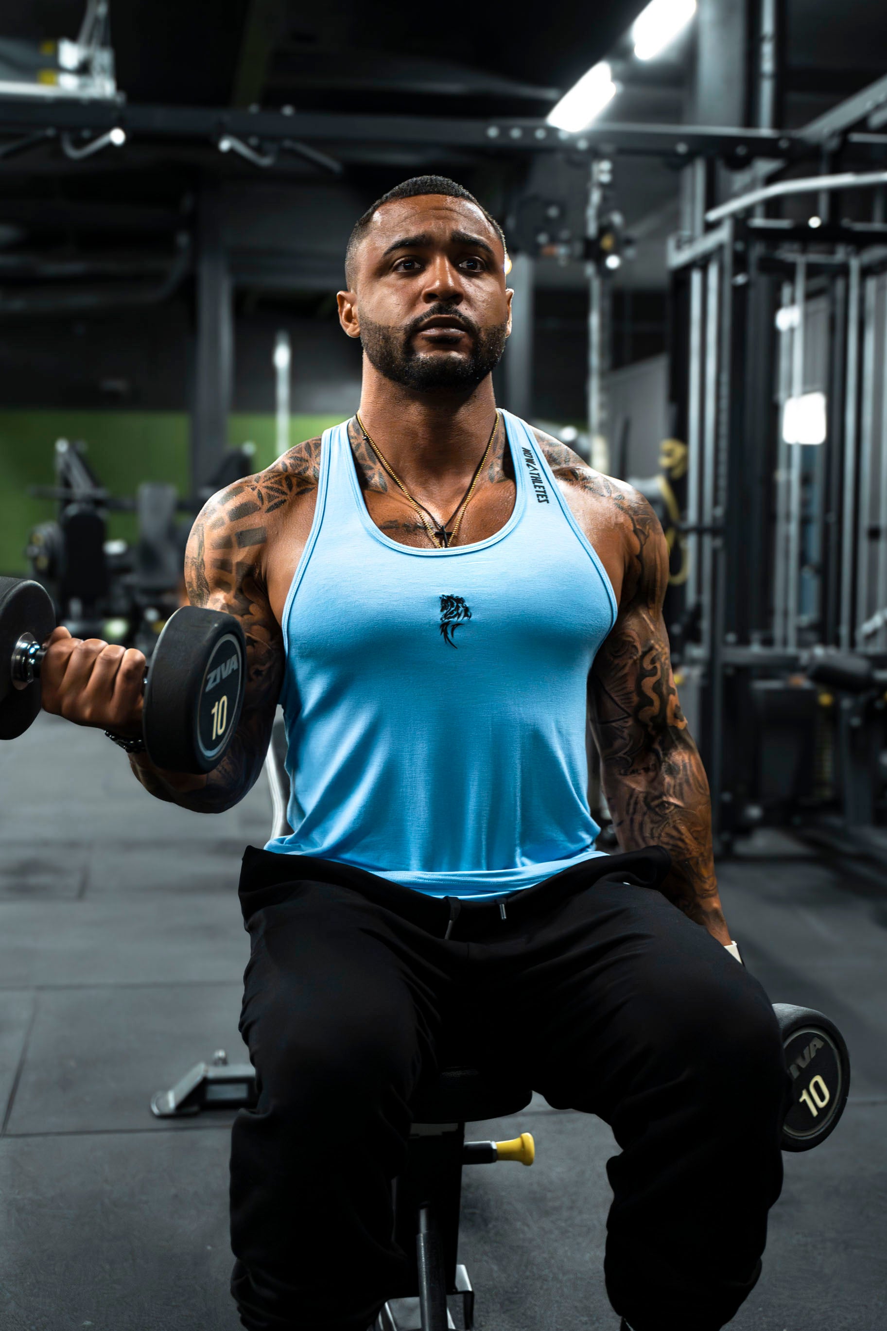Rage Armor stringer -  Royal Blue Wolf