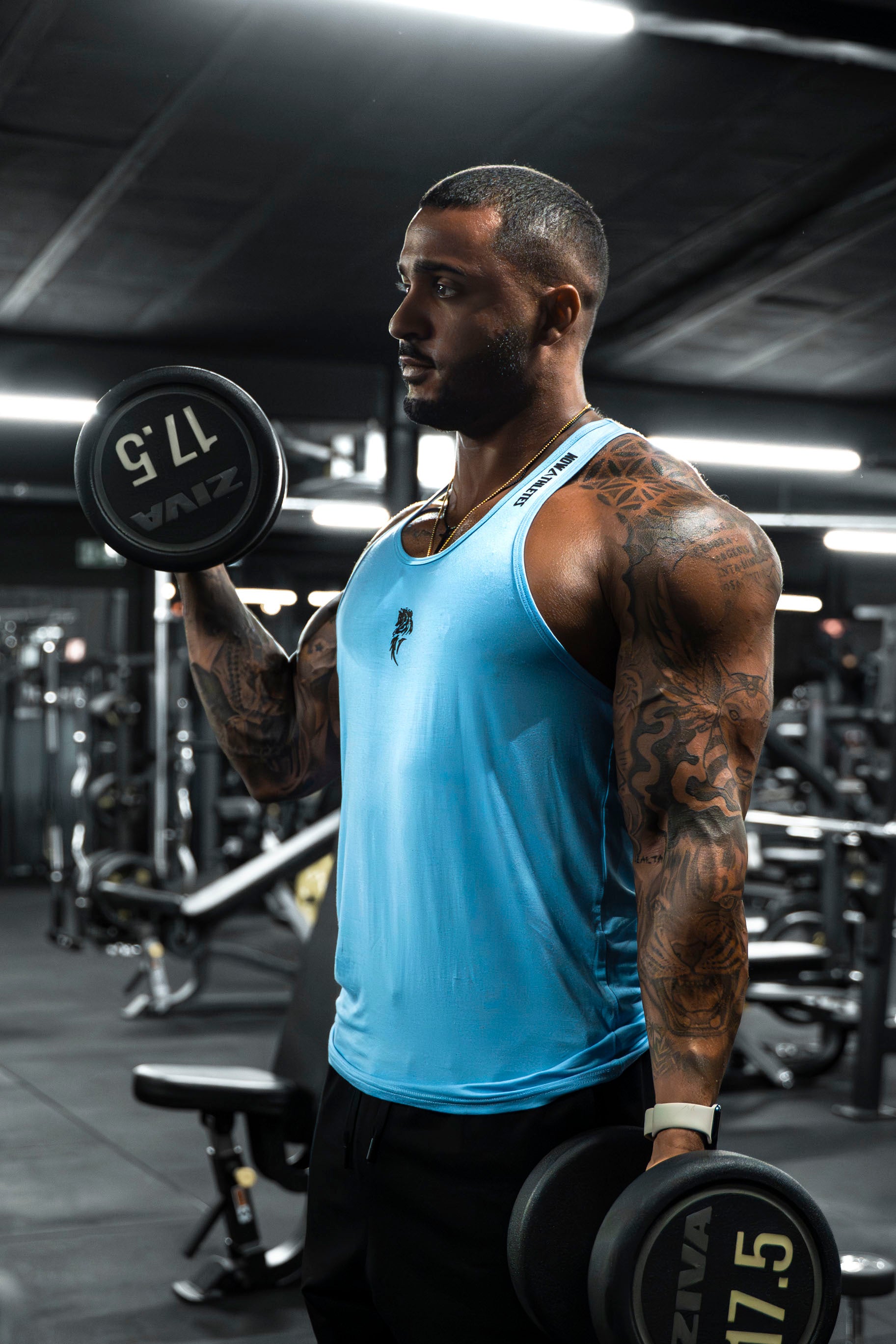 Rage Armor stringer -  Royal Blue Wolf